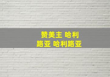 赞美主 哈利路亚 哈利路亚